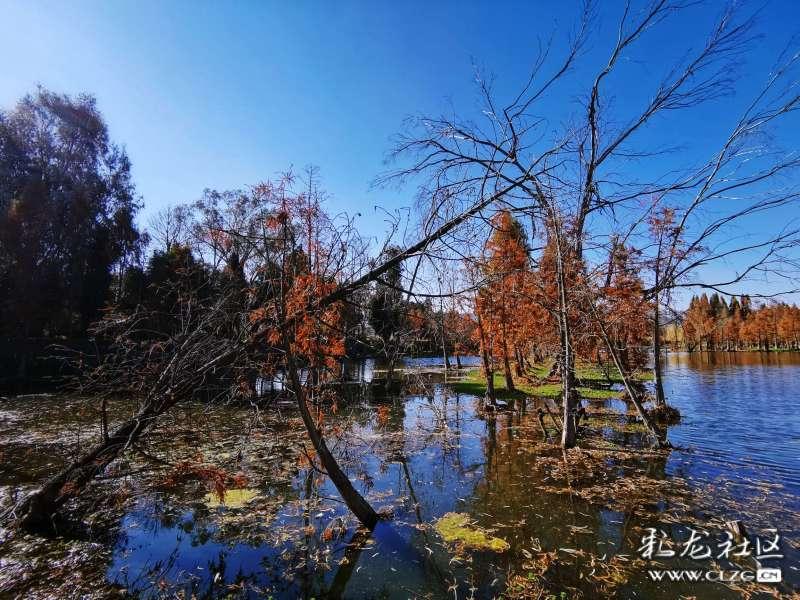 西影视频软件下载有问必答平台-专注解答你所有问题